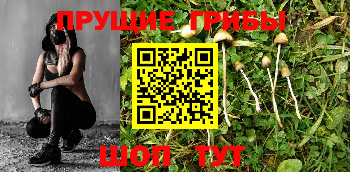 Урай  Галлюциногенные грибы прущие грибы  Вход с VPN 